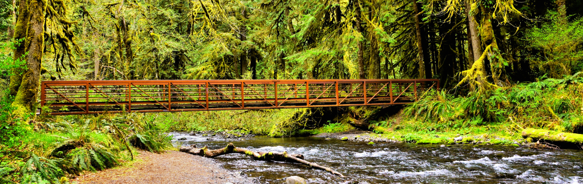 Olympic national park