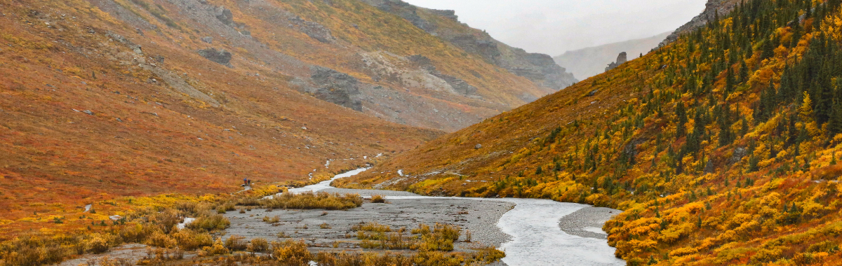 Alaskan valley during the fall