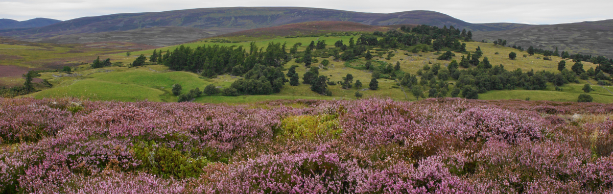 Cairngorms National Park