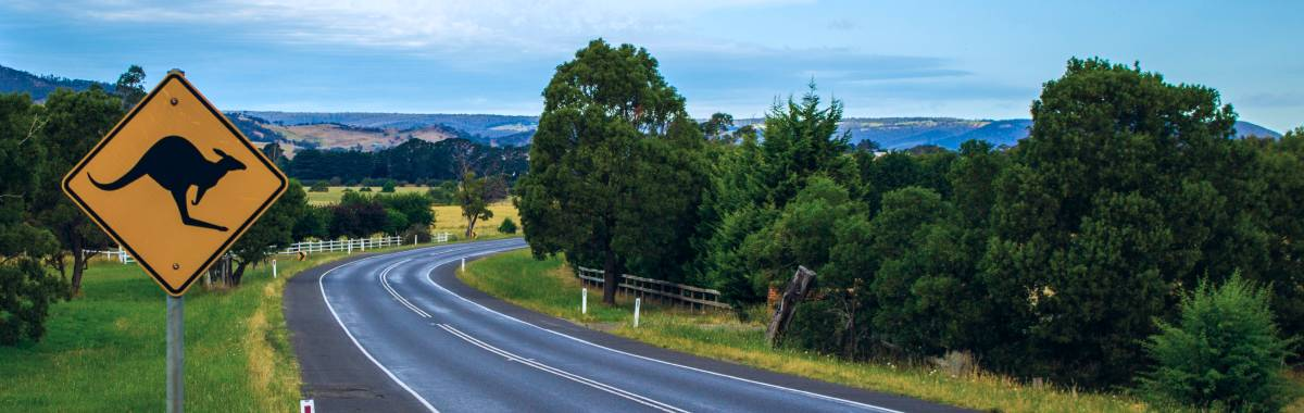 kangaroo warning sign next to road