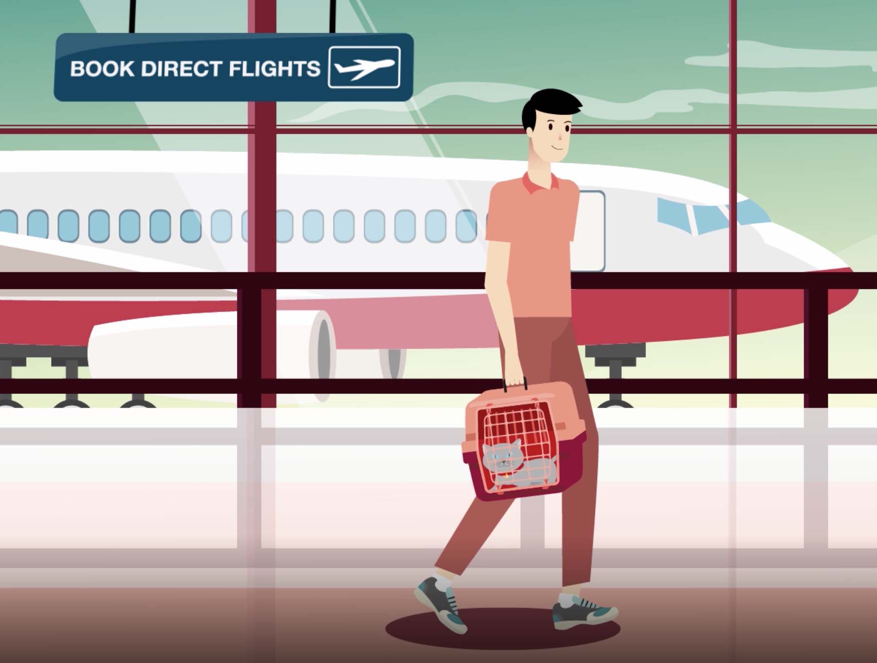 tips for flying with pets