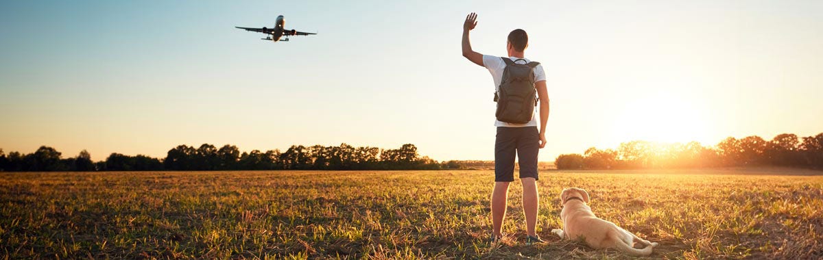 person waving at a plane landing with a dog