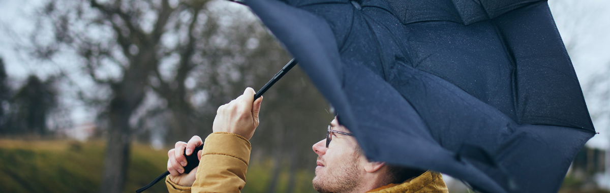wind blowing back an umbrella