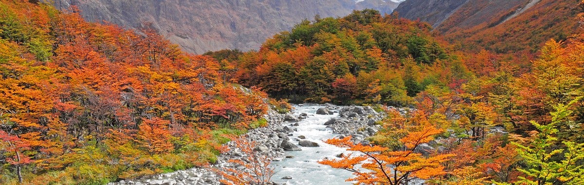 Valley and Forest during fall