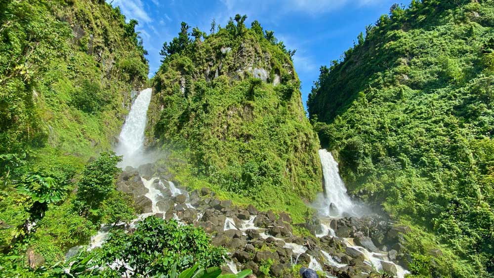 jungle and waterfalls in Dominica