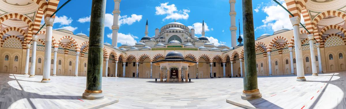 woman with beret looking at the Eiffel Tower in Paris, France