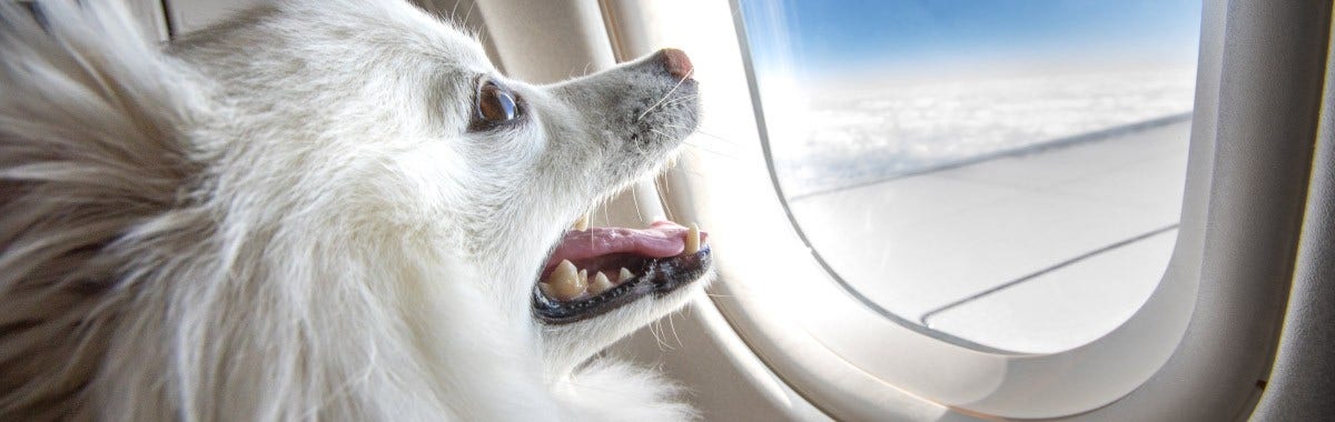 family on a ski lift