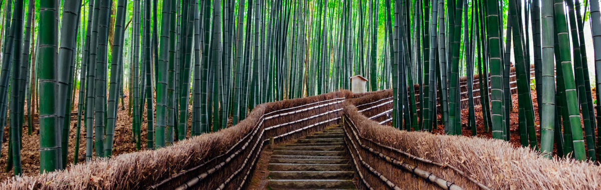 Header - 1