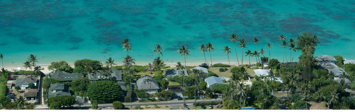 aerial shot of a beach and homes