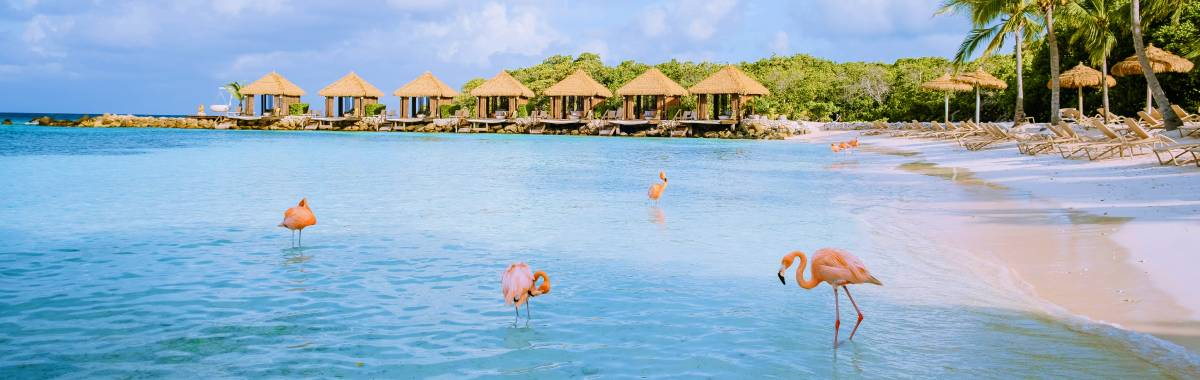 woman with beret looking at the Eiffel Tower in Paris, France