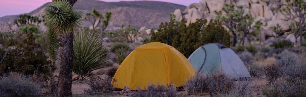 Joshua Tree National Park