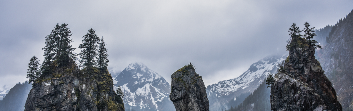 alaskan nature islands and trees