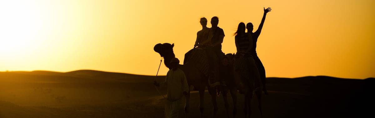 silhouette of people on the back of a camel in the desert 