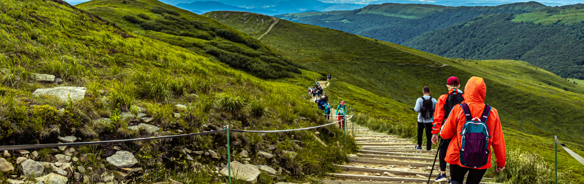 group of solo and group travelers hiking