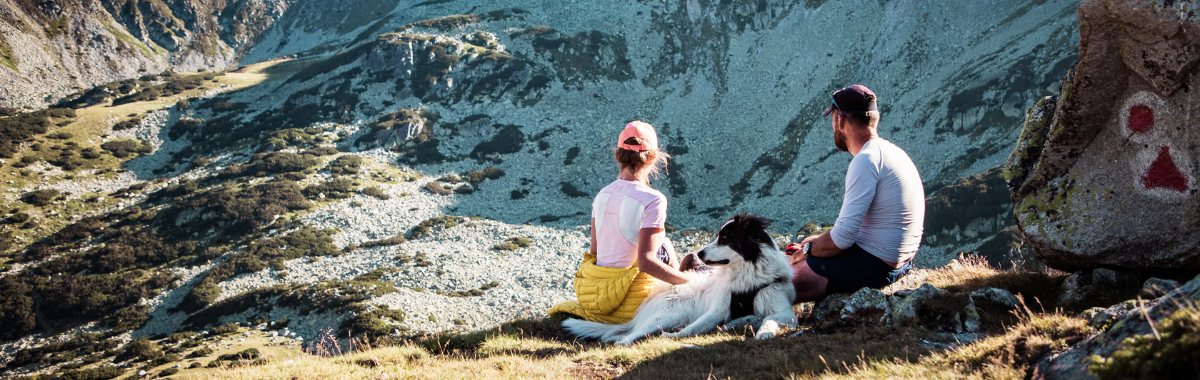 couple sitting with their dog on a mountain side
