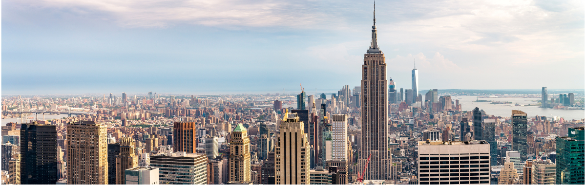 new york city skyline shot