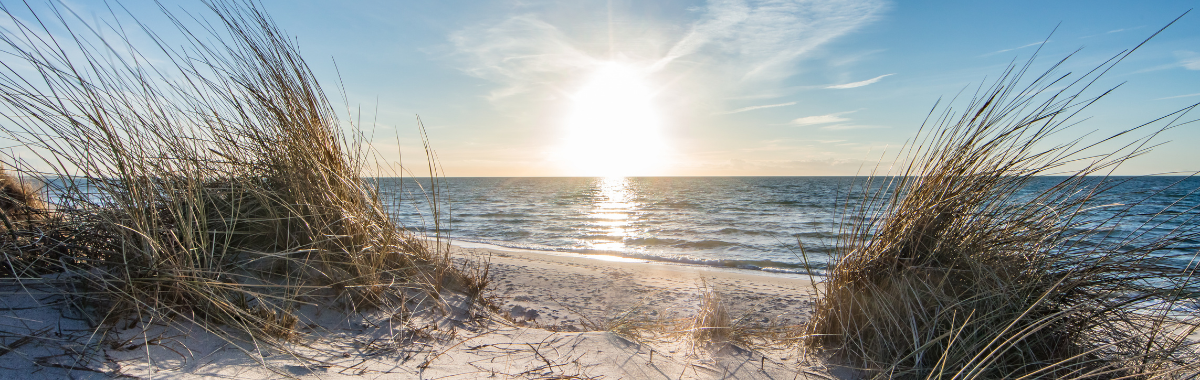 An alpaca looking at the camera with Machu Pichu in the background