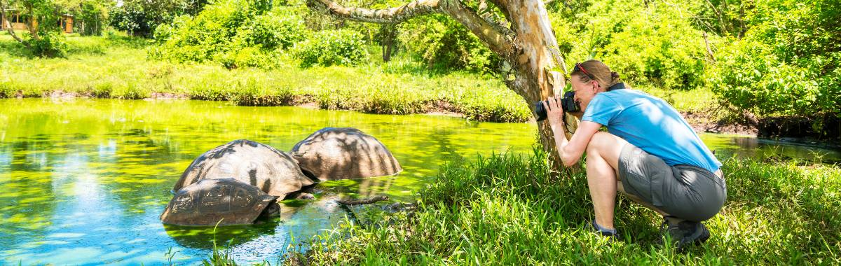 woman photographing tortoises 