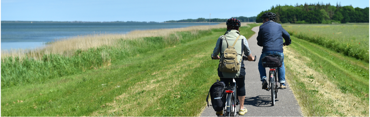 people biking on a path