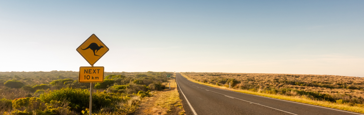 long road with a kangaroo warning sign