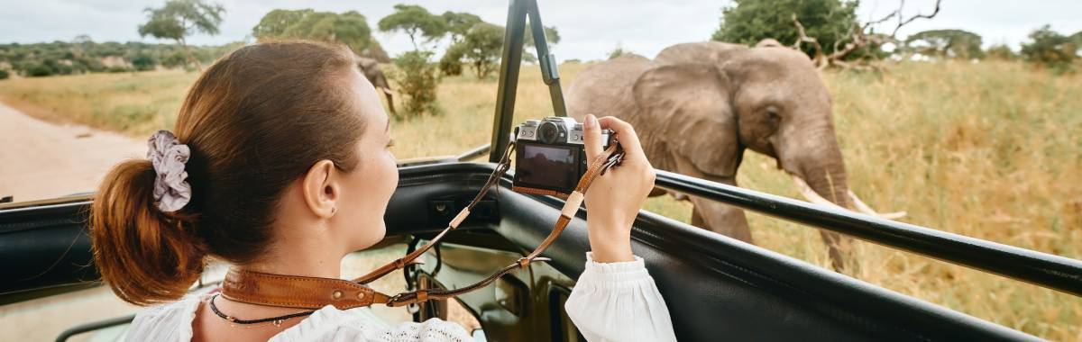woman taking a picture of an elephant while on a safari