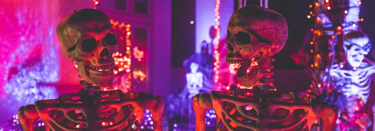 two skeletons in halloween display