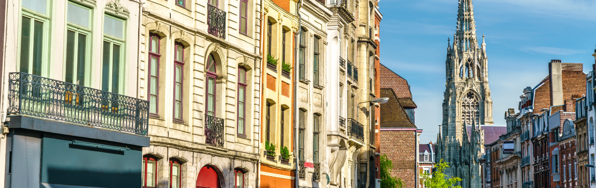 buildings and cathedral in Lille France