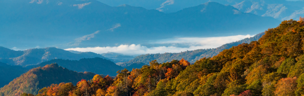 smoky mountains