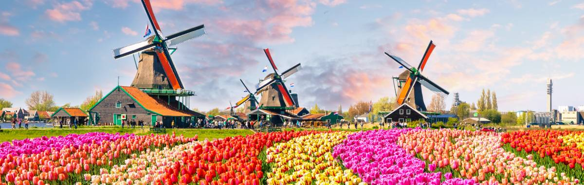 woman with beret looking at the Eiffel Tower in Paris, France