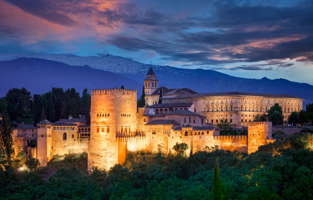 European castle surrounded by forest