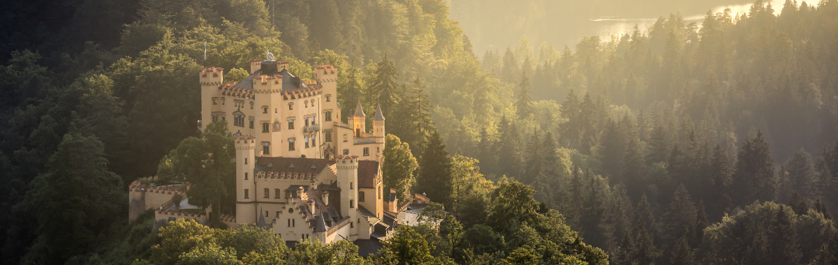 Ludwig II's castle