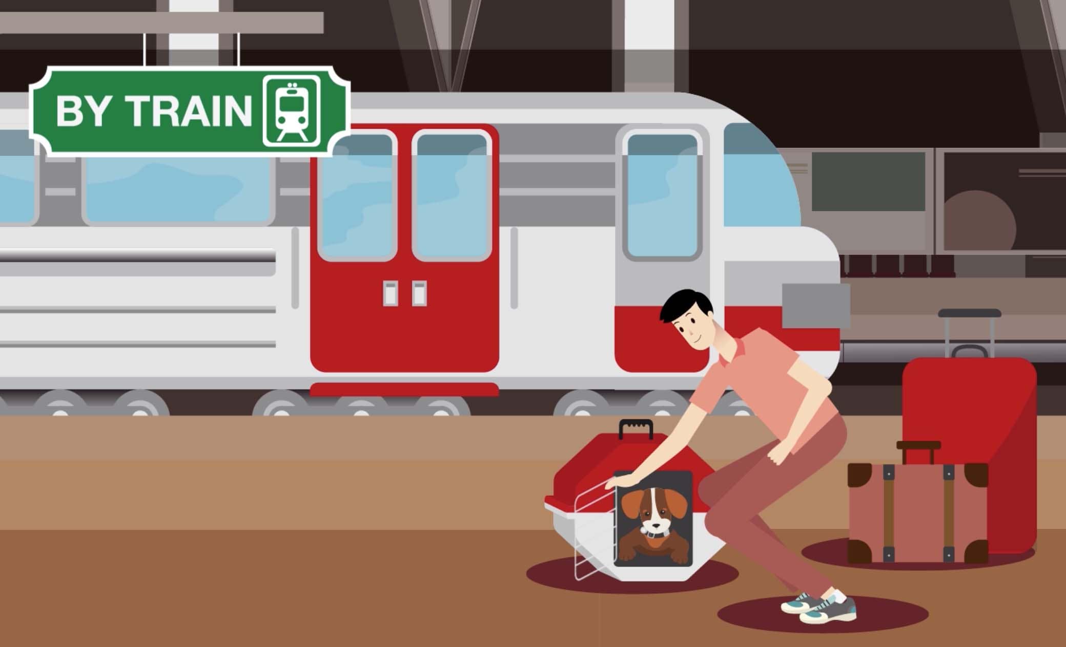 tips for traveling by train with pets