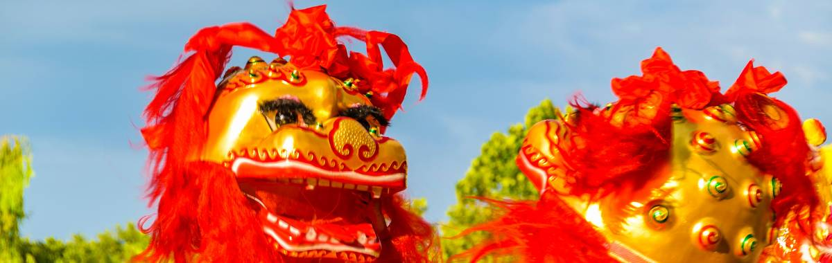Asian Dragon head part of a costume