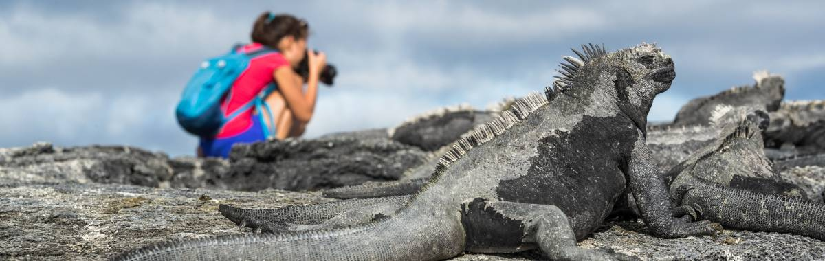 woman on a island taking picture of big iguanas 