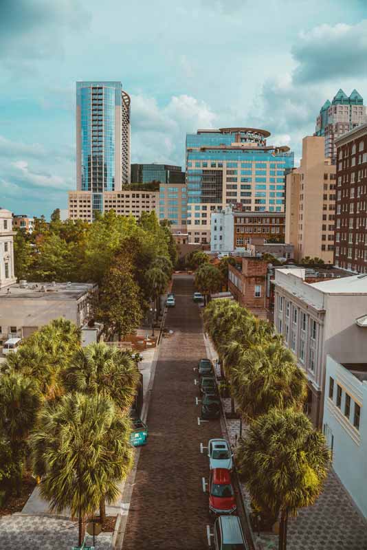 downtown Orlando, Florida, palm tree lined street