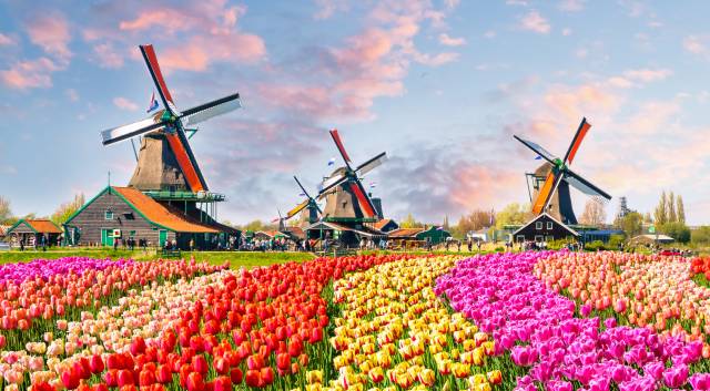 Travel Protection for the Netherlands