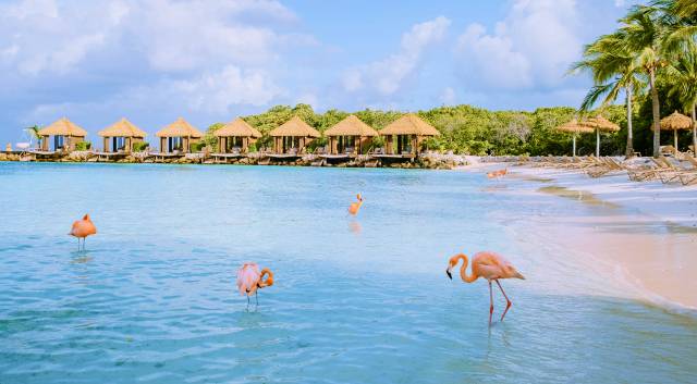 Aruba Travel Protection