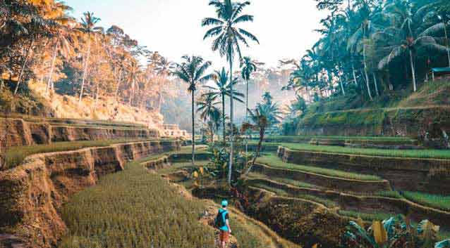 Free things to do in Bali