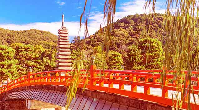 Travel Tips for Japan