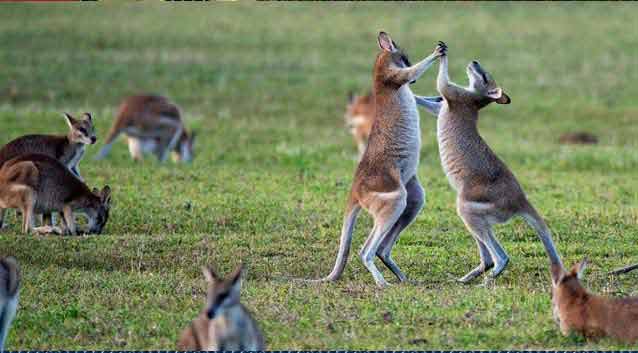 Best Places to Visit in Australia