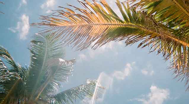 8 Great Florida Vacation Destinations