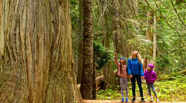 The Best National Parks For Family Vacations