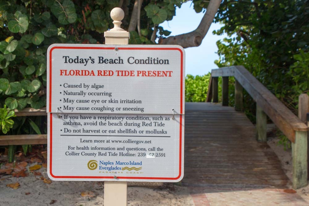 sign on a florida beach warning about red tide