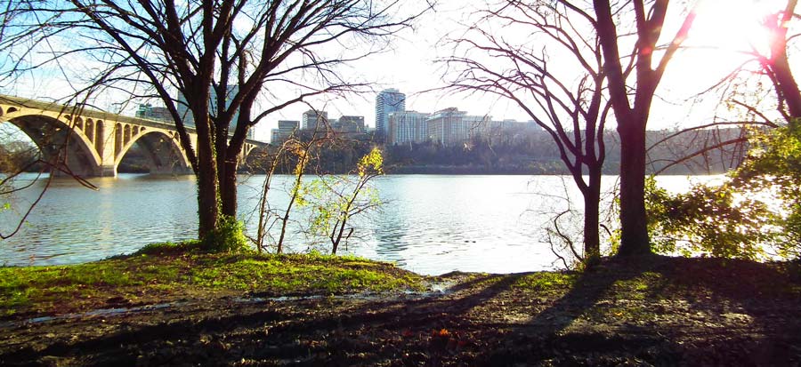 View of Washington DC from the Capital Crescent Trail