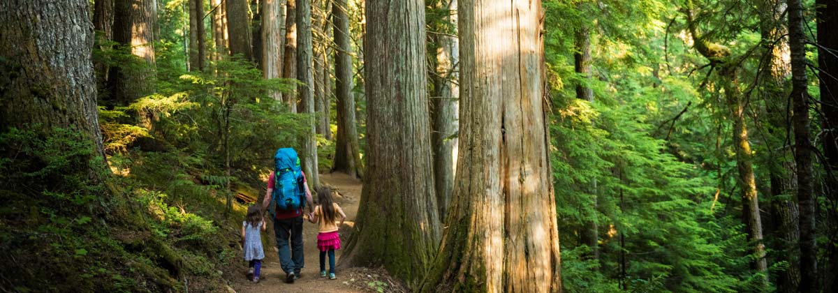 family hiking in the forest