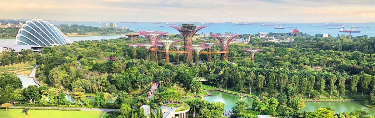 Garden by the Bay in Singapore, a top asian travel destination