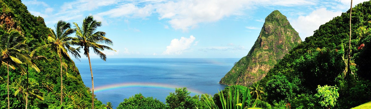 palm trees, ocean and rainbow in St. Lucia