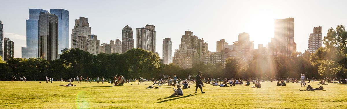 people on grass in Central Park with New York City skyline