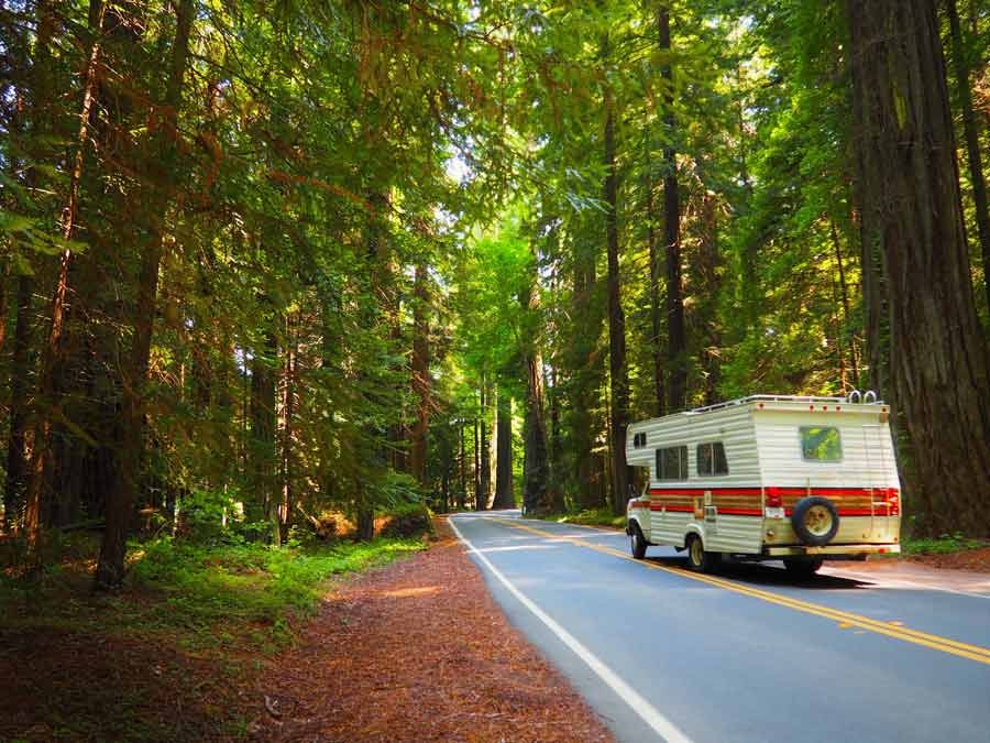 Road trip through Sequoia National Park with RV travel insurance