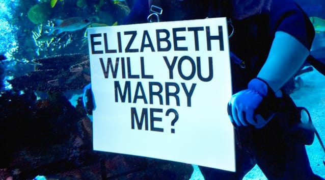 scuba diver holding a marriage proposal sign, under water, coral reef